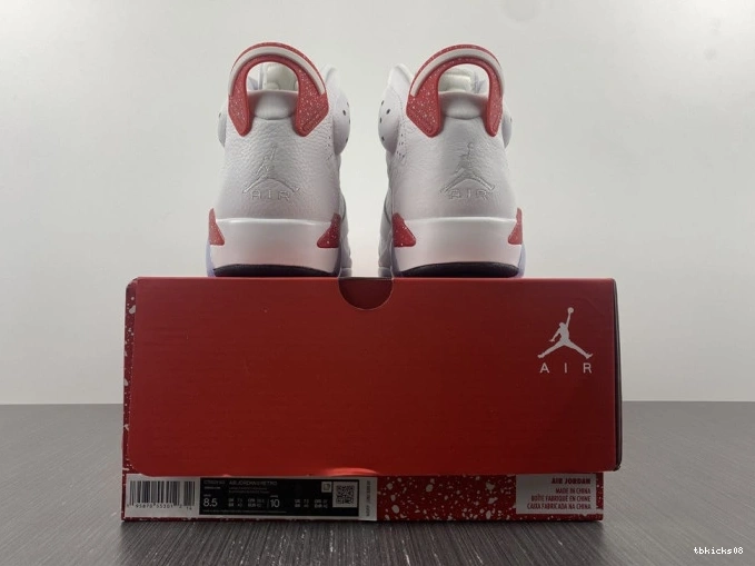 Cheap TBkick Retro Hare 6 Jordan CT8529-162 0628
